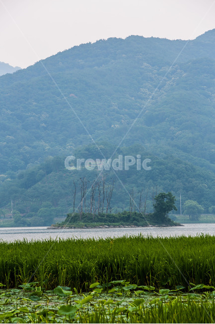 두물머리,호수,관광명소,풍경,감성,자연,풍경,nature,landscape,한국자연풍경,한국자연경관,korea nature landscape,outdoors,옥외