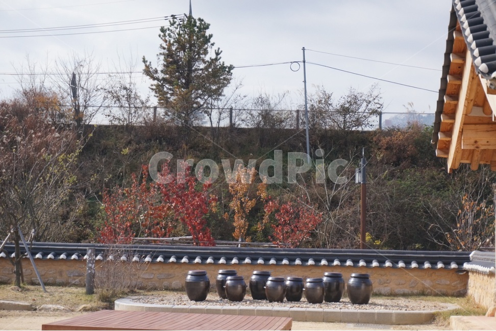 장독,나무,담,한옥,가을,한국전통,한국문화,korean traditional,korean culture