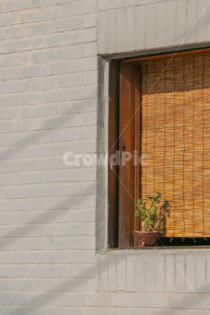 가정장식,homedecor,화분,야외,배경
