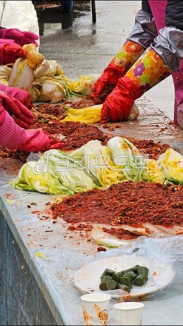 배추김치,김장,김치,겨울,시골김치