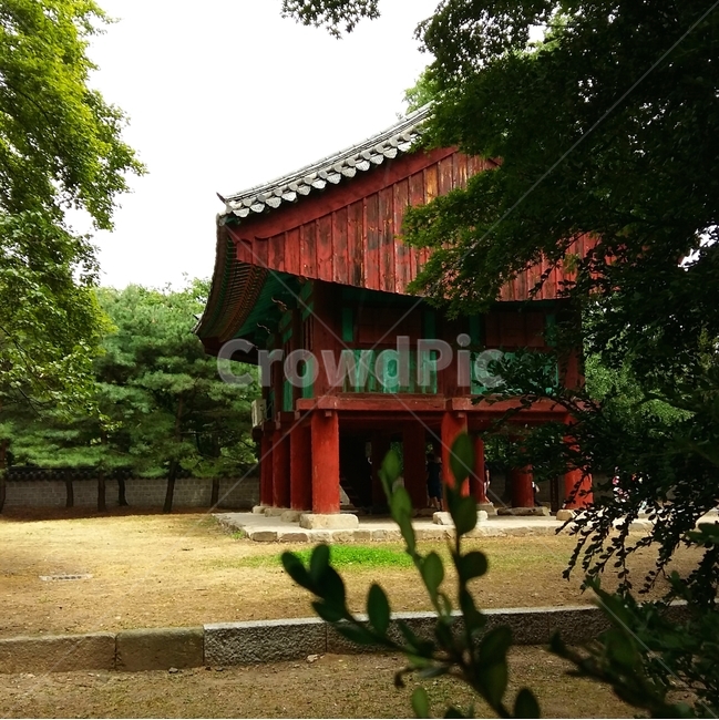 전주사고,한국,건축물,문화재,정원,나무,식물,tree,plant,garden