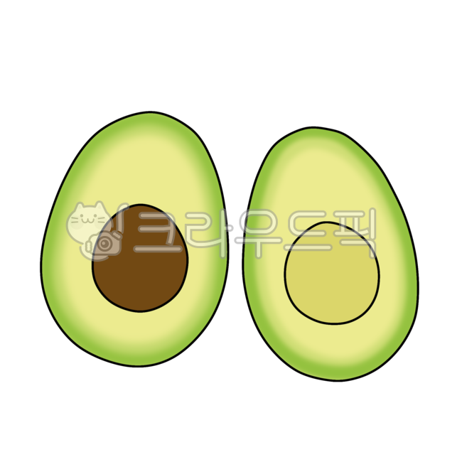 avocado,crosssection,fruit,illustration,section,food