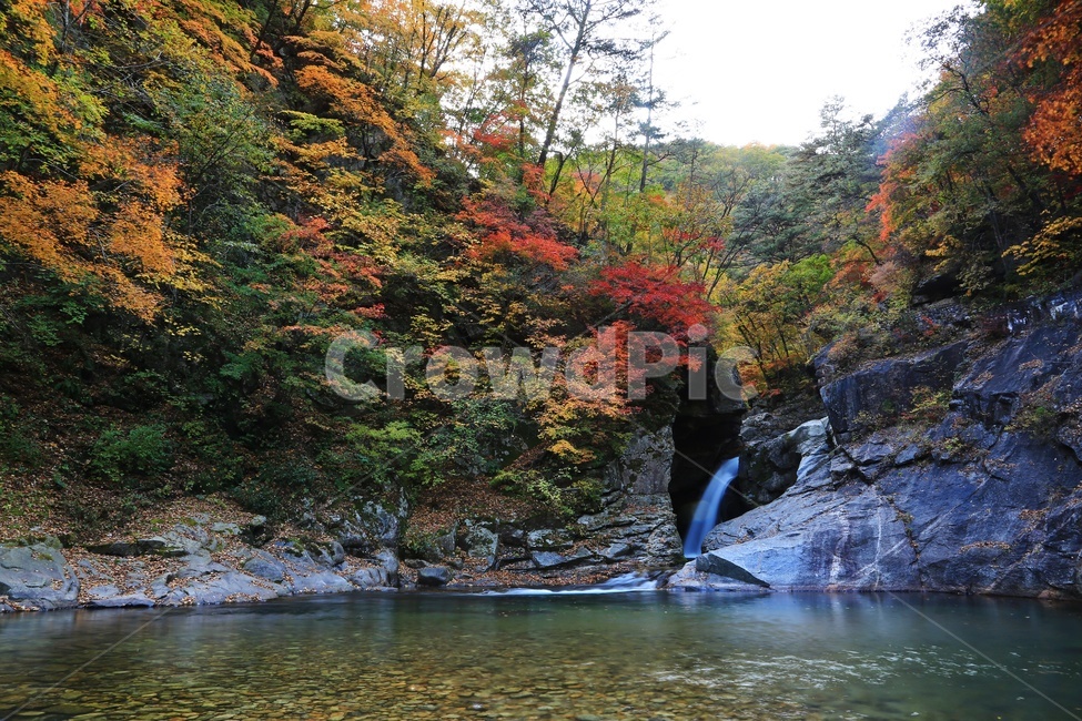 water,물,nature,자연,outdoors,옥외,waterfall,폭포,tree,나무,plant,식물,leaf,잎,stream,흐름,경치,경관,풍경,계곡,가을,만추,추색,강원도,인제,상남,용소폭포,상남용소폭포,상남가을,가을,계절,fall,autumn,season