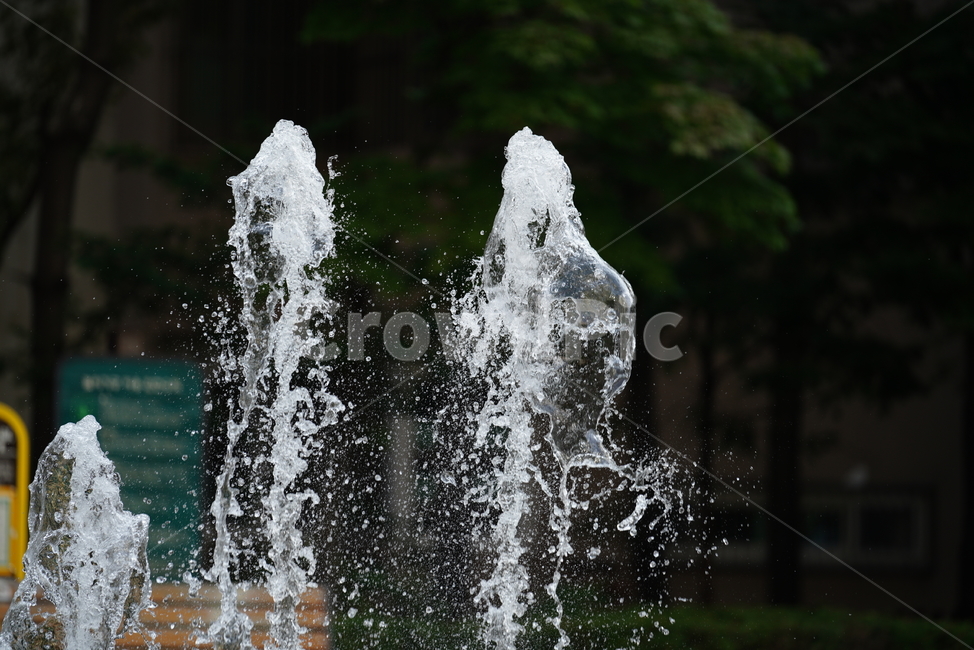 물,분수,워터,water,풍경,여름,계절,summer,season,fountain