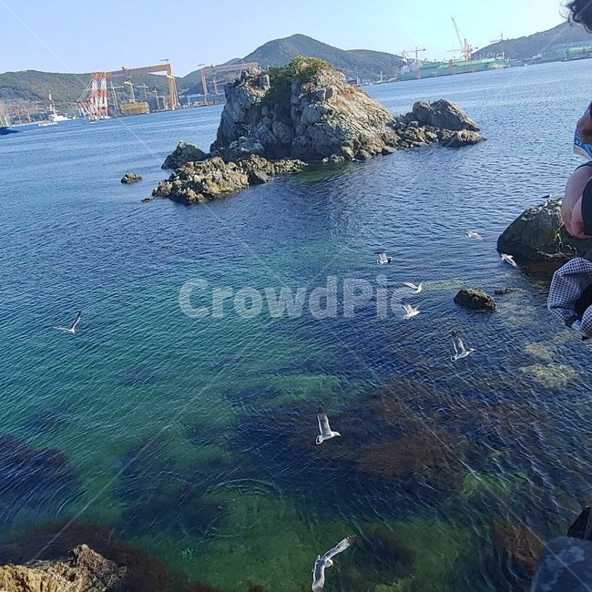 자연,물,water,바다,맑은,시원한