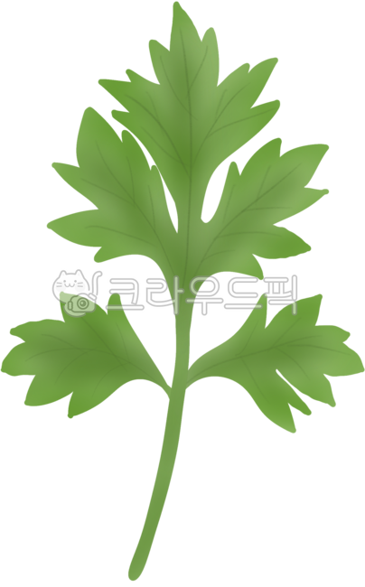 쑥, 쑥일러스트, 쑥도안, 쑥떡, 쑥마늘, 사진,이미지,일러스트,캘리그라피 - xzo31작가
