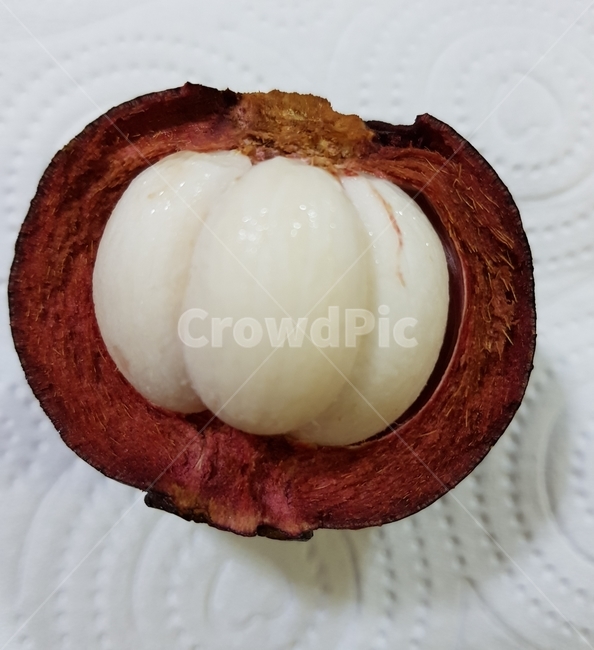 food,과일,망고스틴,열대과일,음식