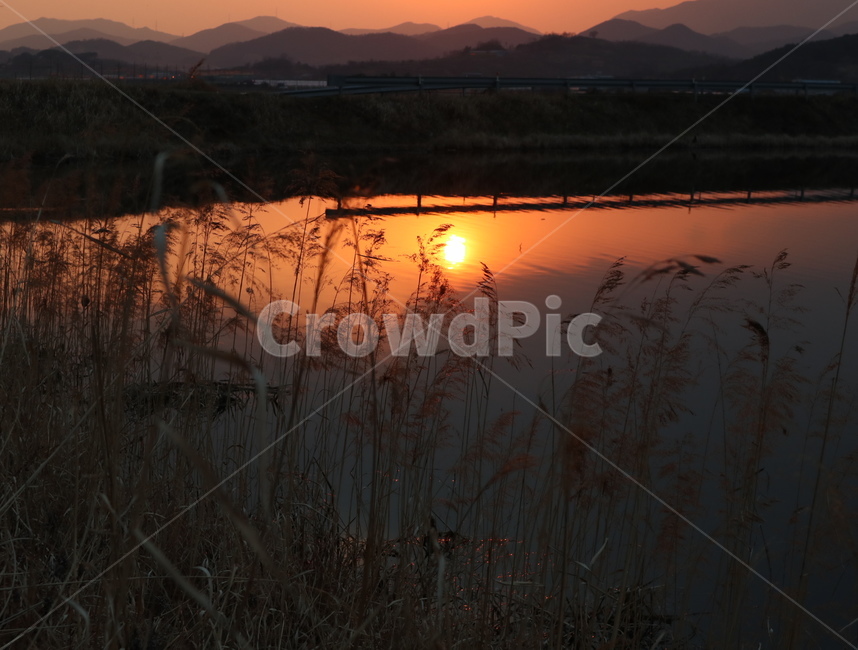 노을,일몰,자연,한국,시골,구름,장관,풍경,nature,sunrise,cloud,자연,풍경,nature,landscape,plant,식물,grass,잔디,lawn