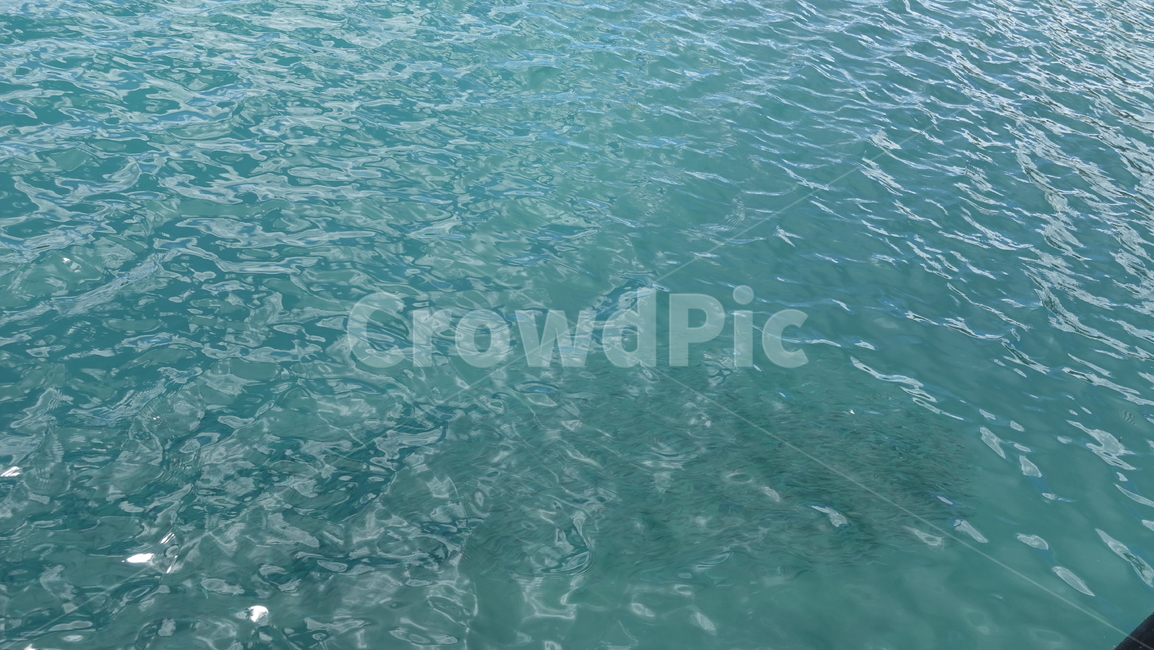 자연,nature,sea,ocean,water,blue,바다,파랑,휴양지,여름,summer,물고기,flock,fish,수면,물결