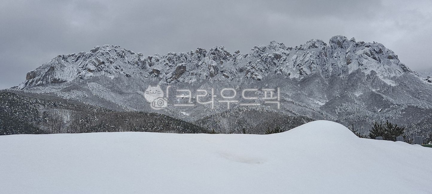 눈,겨울,폭설,흰,화이트,하얀,눈덮인,숲,구름,들판,하늘,나뭇가지,설경,자연,나무,날씨,weather,snow,mountain,산,mountainrange,산맥,nature,outdoors,옥외