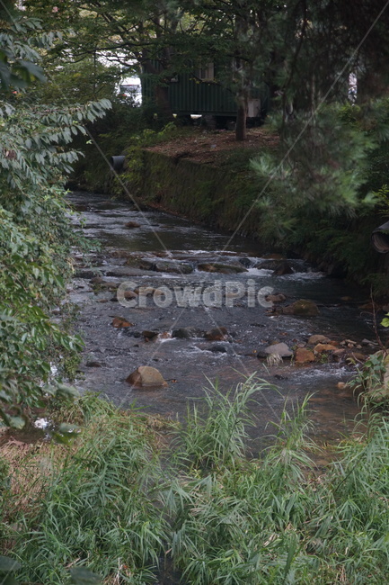 자연,nature,water,물,영축산,시냇물,thewaterofabrook,brook