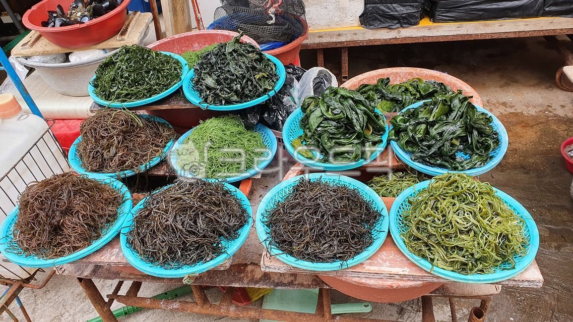 채소,채소가게,해초,해초가게,미역,시장,초록색,마트,마켓,market,재래시장,marketplace,요리,food,cook,meal,dishes,foodreserves,야채,식재료,한국시장,수산시장
