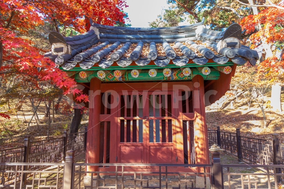가을,계절,단풍,사찰,전등사,자연,나무,관광,절,강화,강화도,temple,autumn,nature,asia,buddhism,architecture,fall,landscape,travel,colorful,park,garden,beautiful,background,tree,asian,leaf,orange,art,image,holiday,tower,가을,계절,fall,autumn,season,한국전통,한국문화,korean traditional,korean culture,건축물,건물외관,exterior,building,structure,architecture,construction