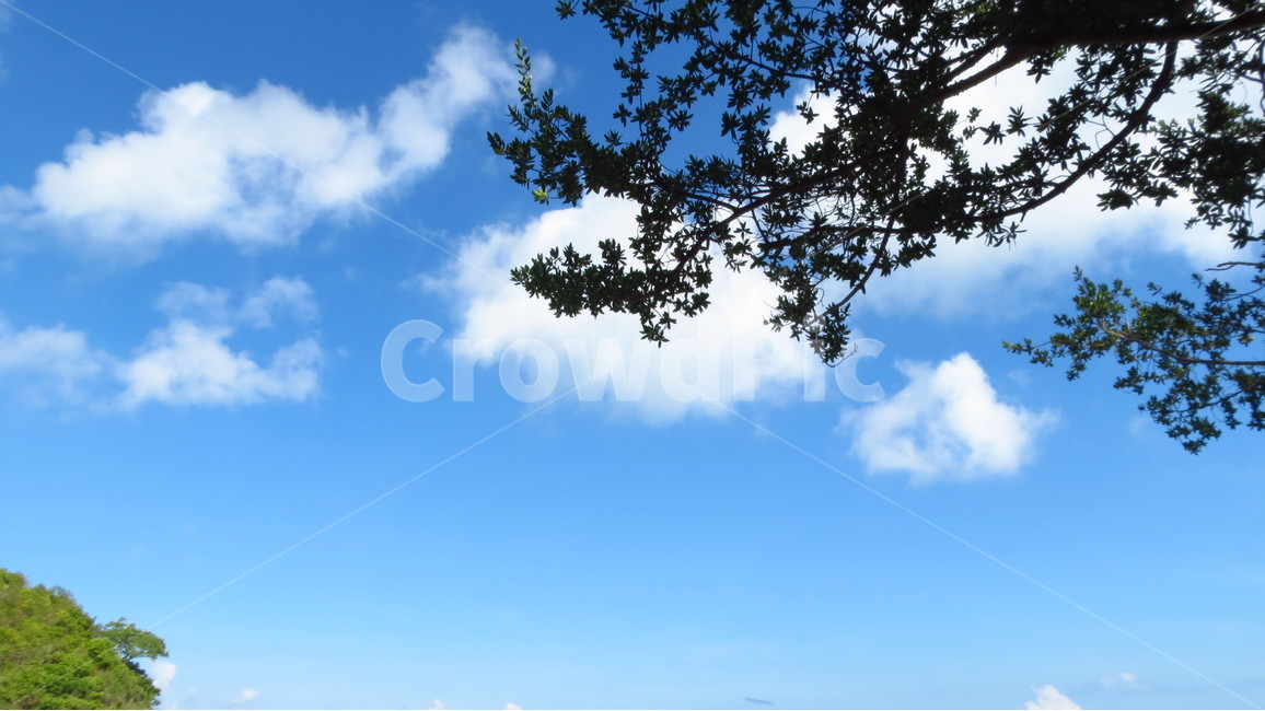 구름,하늘,자연,cloud,sky,파란하늘,bluesky,맑은하늘,구름사진,나뭇잎,leaf,leaves,nature,자연,풍경,nature,landscape,outdoors,옥외
