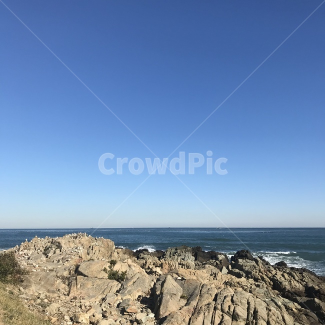 nature,자연,바다,동해안,부산,기장