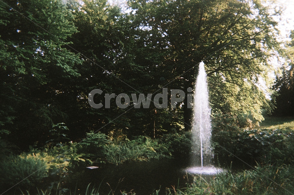 감성사진,sensible,나무,tree,필름사진,필름카메라,filmcamera,분수대,분수,정원,숲,자연,풍경,nature,landscape,휴식,힐링,rest,relaxation,healing,water,물