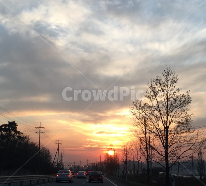 노을,하늘,나무,풍경,감성,sunset,sky,leave,tree,landscape,sensibility,퇴근길,도로,서울