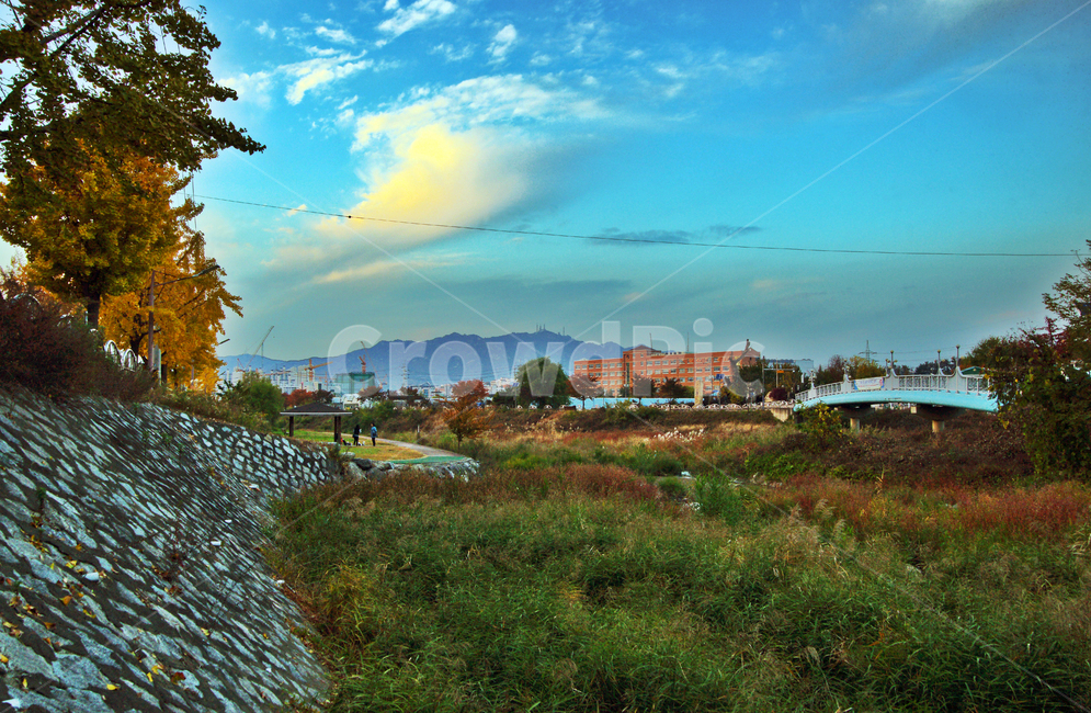학의천,내손동,의왕시,개천,축대,푸른하늘,흰구름,수풀,도시,풍경,city,landscape,한국도시풍경,한국도시경관,korea cityscape,nature,자연,outdoors,옥외
