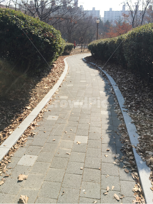 거리,street,보도블럭,sidewalkblock,보도,walkway,sidewalk,풍경,scenery,입구,entrance,나무,tree,낙엽,deciduous,잎,leaf,생활,life,공원,park,바닥,땅,ground,floor,flooring,식물,plant,통로,path,판석,flagstone,길,road,가로등,streetlamp