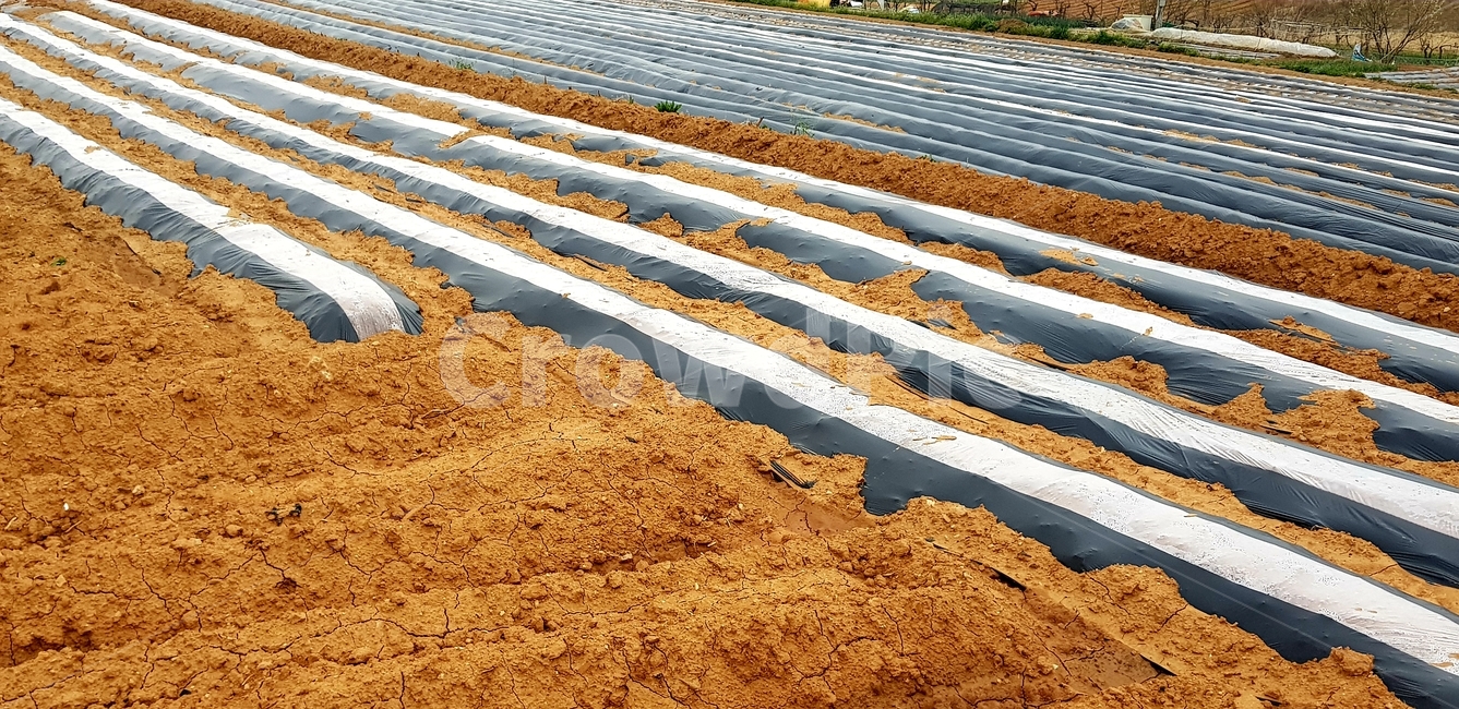 밭,농부,텃밭,농사,땅,흙,산업,industry,industrial,농업,농사,agriculture,farming,farming industry