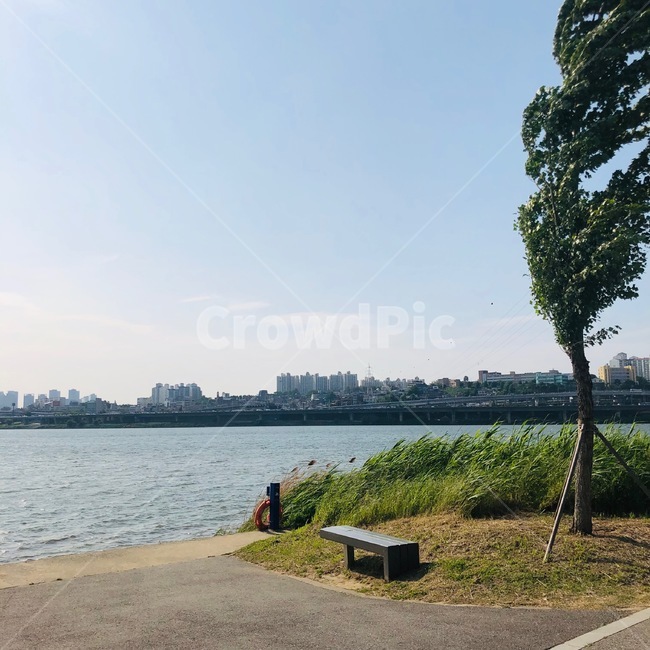 한강,반포지구,바람,벤치,나무,강,갈대,다리,아파트,하늘,공원