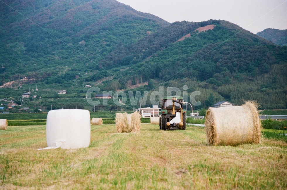 논,들판,시골,countryside,nature,트랙터,농업,농사,agriculture,farming,farming industry