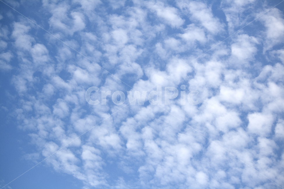 하늘,파란하늘,푸른하늘,가을하늘,여름하늘,양떼구름,skybackground,흰구름,뭉게구름,자연,옥외,파랑색,sky,bluesky,nature,outdoor,하늘배경,background