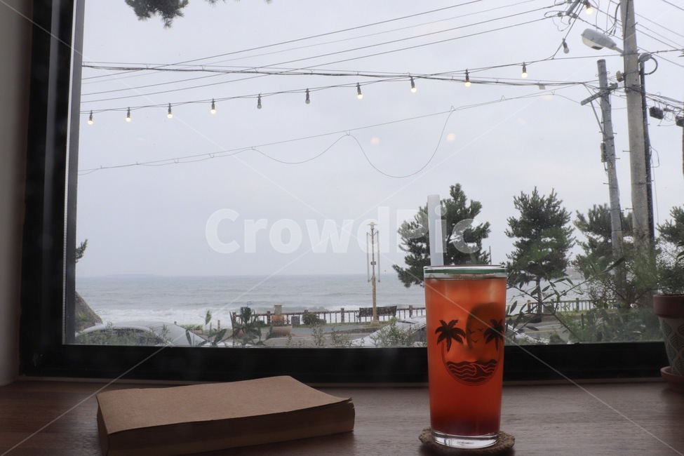 drink,카페,제주도,창가,감성,cafe,마실것,glass,유리,자몽,에이드,유리컵,책,grapefruit,ade,grapefruitade,jejudo,jeju,book,color,coffee,테이블,흐림,조명,전구,실내,차가운