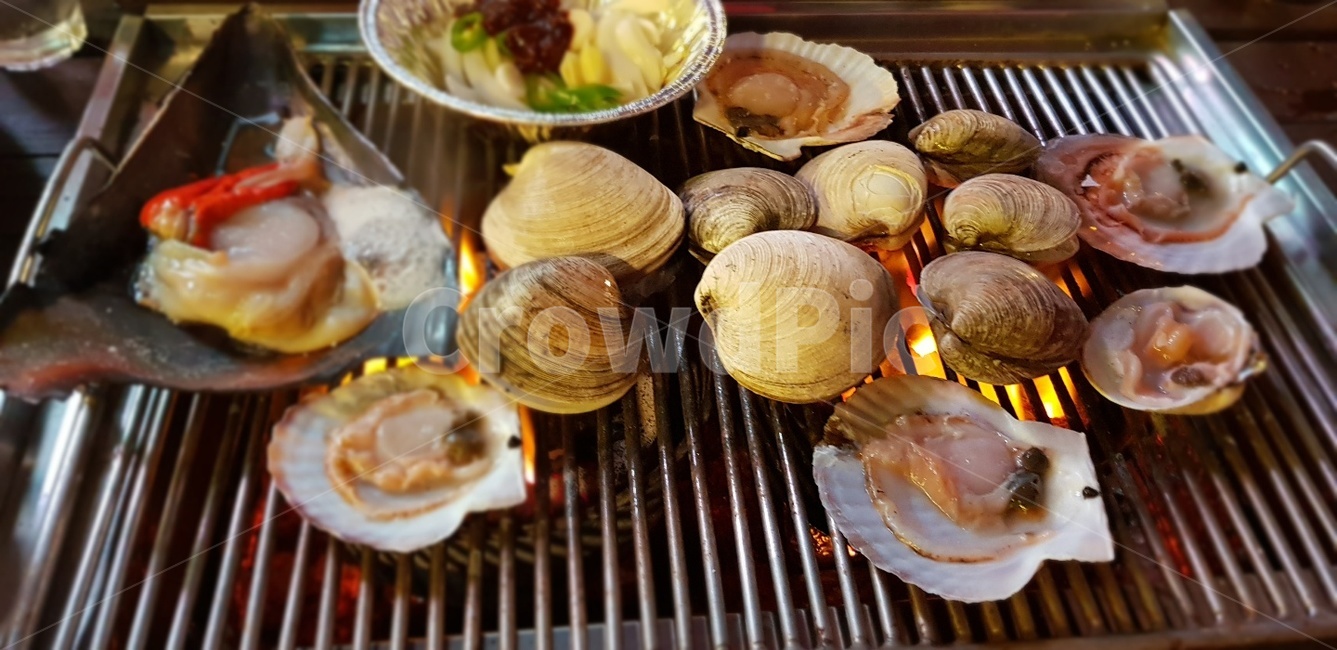 조개,조개구이,구이,해산물,가리비,음식,먹거리,술안주,바다음식
