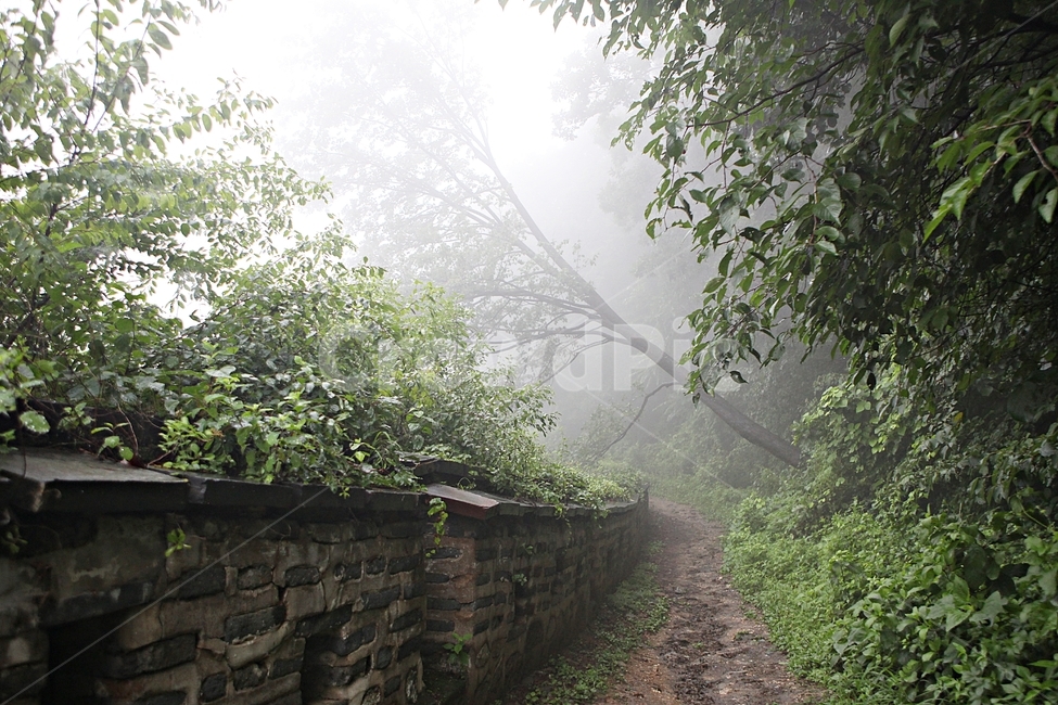 남한산성,성,성곽,둘레길,길,숲,숲길,안개,돌담,담