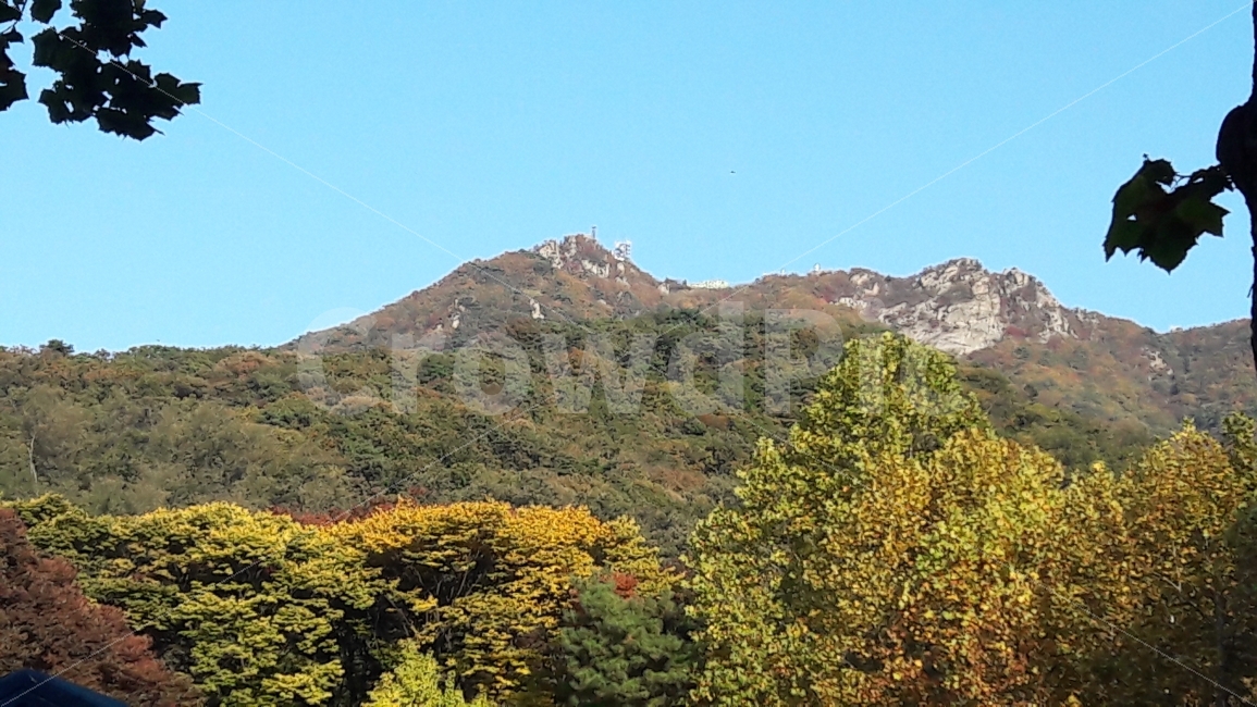 단풍,산,대공원,알록달록,나무,가을,계절,fall,autumn,season,자연,풍경,nature,landscape,한국자연풍경,한국자연경관,korea nature landscape,outdoors,옥외,hill,언덕