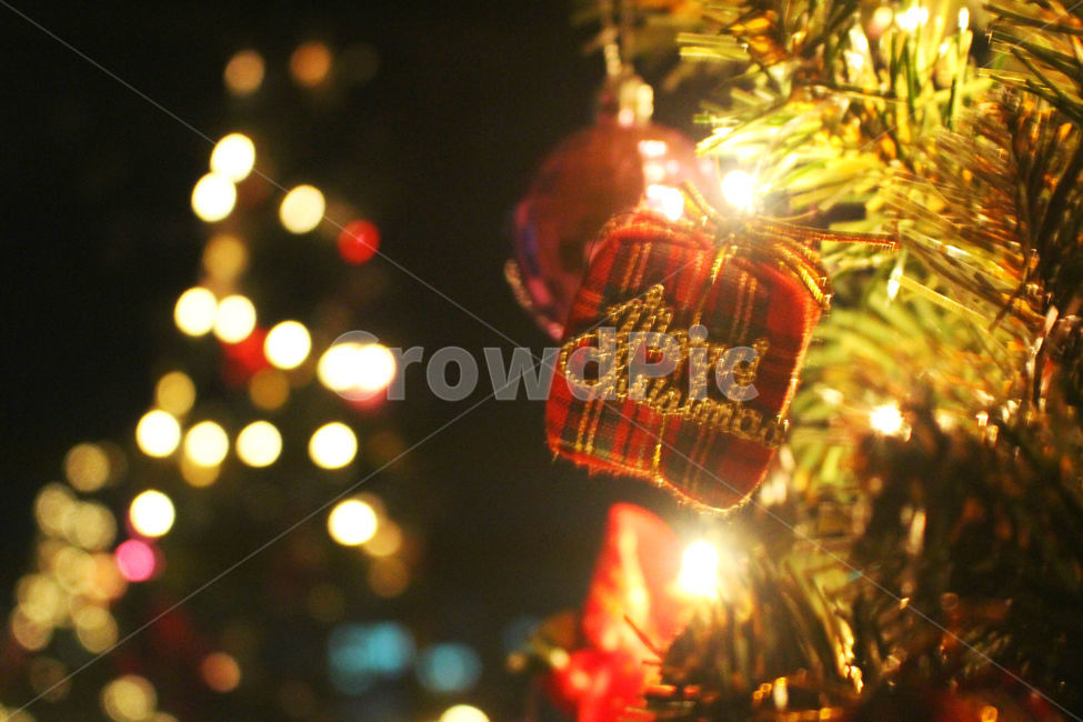 크리스마스,크리스마스트리,크리스마스장식,성탄절,감성사진,christmas,메리크리스마스,체크,빨강,빨간색,초록,초록색,tree,red,green,빛