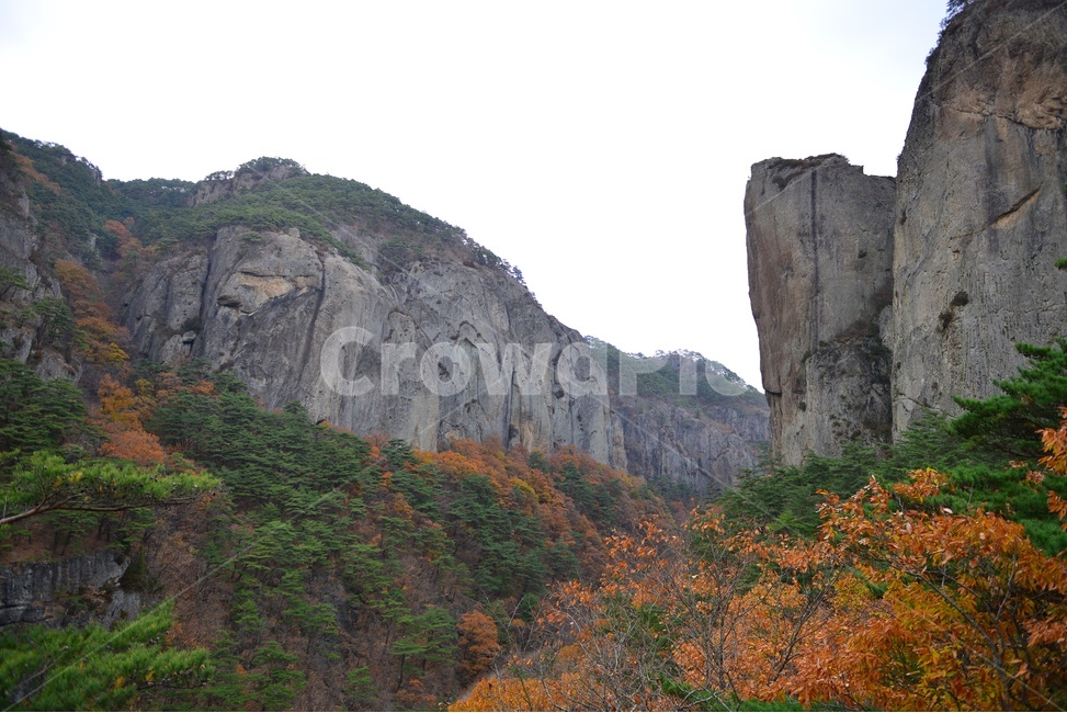 경북,청송,주왕산,주왕산가을,추색,가을,추경,단풍,단풍잎,cliff,낭떠러지,plant,식물,leaf,잎,tree,나무,treetrunk,나무줄기,nature,자연,outdoors,옥외,경치,경관,풍경,자연,풍경,nature,landscape