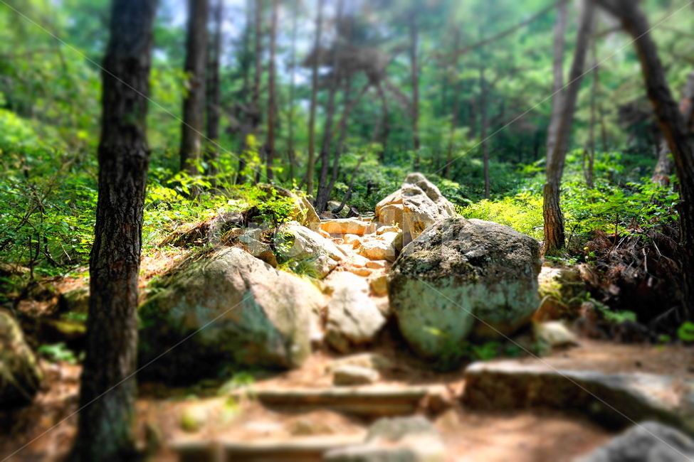 산,등산,등산길,돌길,여름