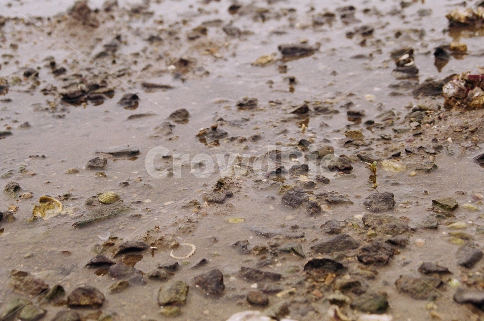 갯벌,바다,돌맹이,mud,mudflat,해변,바다,beach,sea