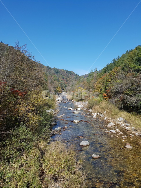 계곡,개울,나무,nature,자연,outdoors,stream,water,자연,풍경,nature,landscape,옥외,물,흐름,creek,작은 만