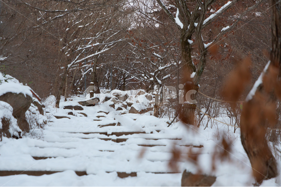 겨울,눈,흰색,자연,추위,겨울,계절,winter,season,자연,풍경,nature,landscape,outdoors,옥외,snow,blizzard,눈보라,storm,폭풍