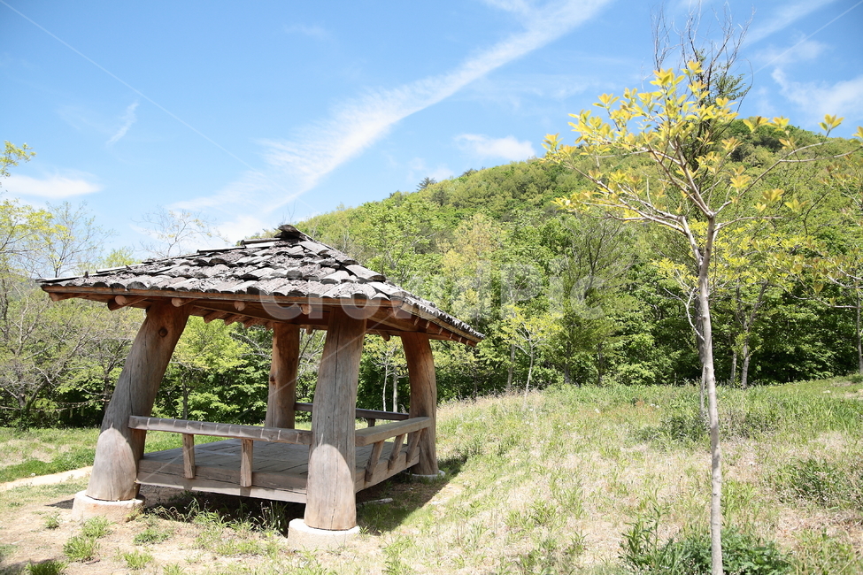 정자,산,나무,하늘,푸른하늘,여름,pavilion,전통,summerhouse,tree,mountain