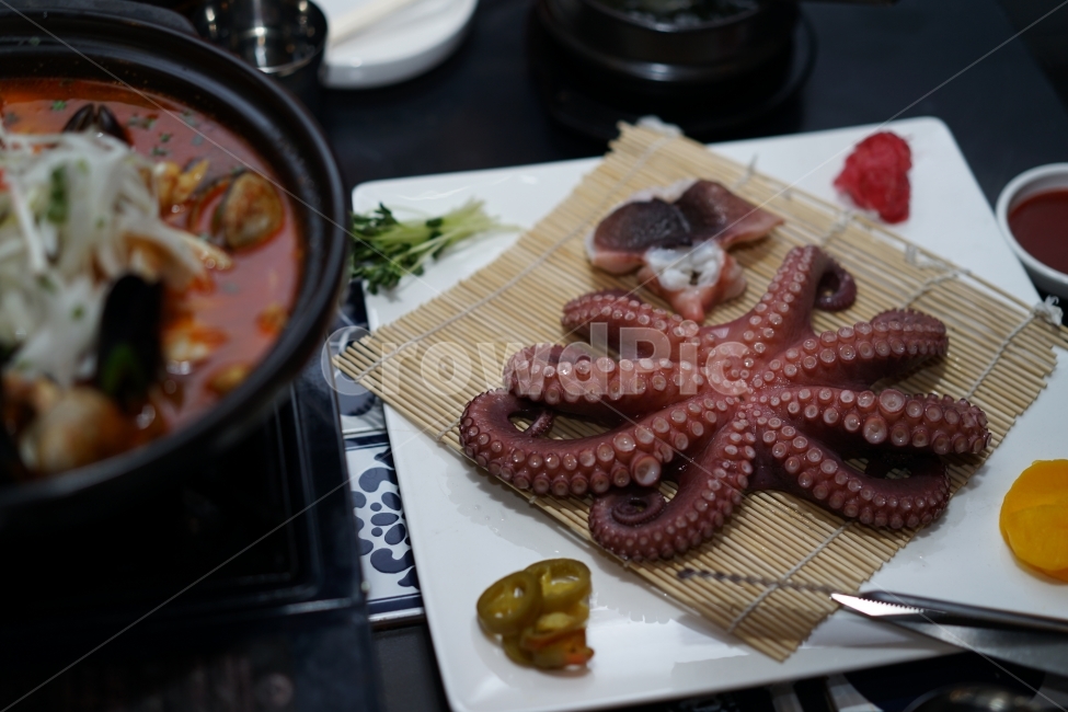 	안주,먹방,문어,해산물,문어숙회,술안주,회,먹거리,음식,푸드,씨푸드,시푸드,술자리,식감,소주안주,안주거리,안줏거리,빨판,통문어,음식,식재료,요리,food,cook,meal,dishes,food reserves,수산물,해산물,fishery products,seafood