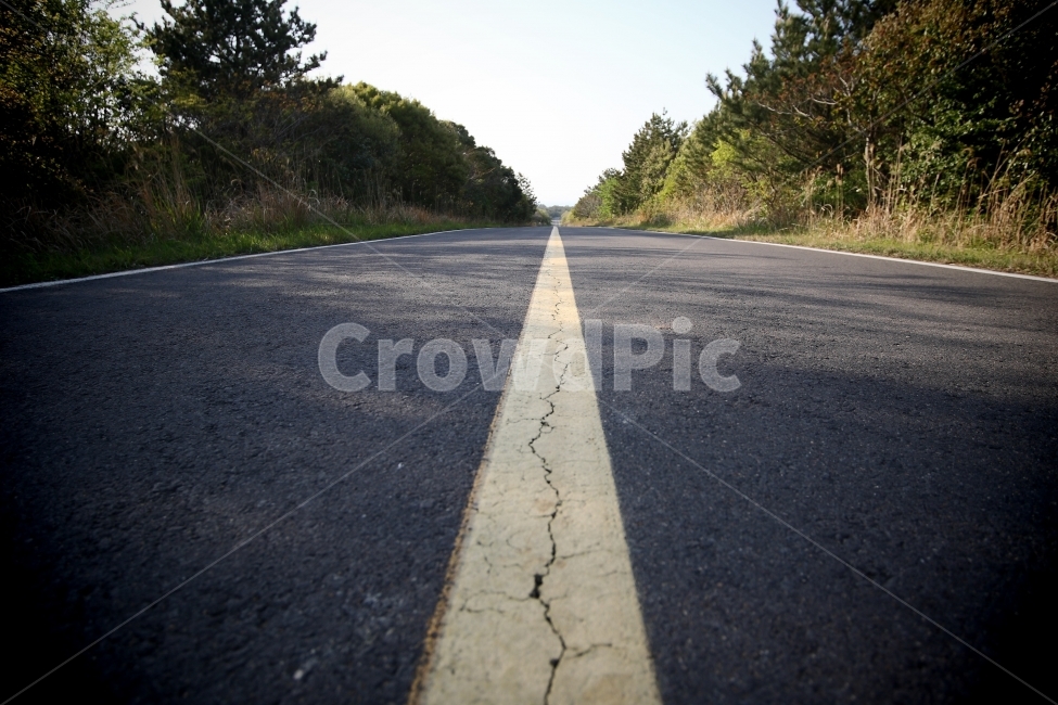 제주,여행,길,풍경,도로,교통,교통수단,traffic,transportation,asphalt,아스팔트,road