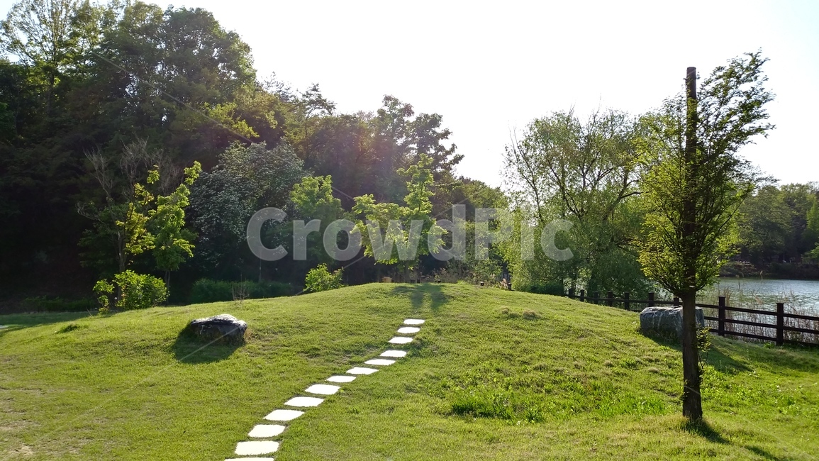 spring,초원,풍경,봄,grassland