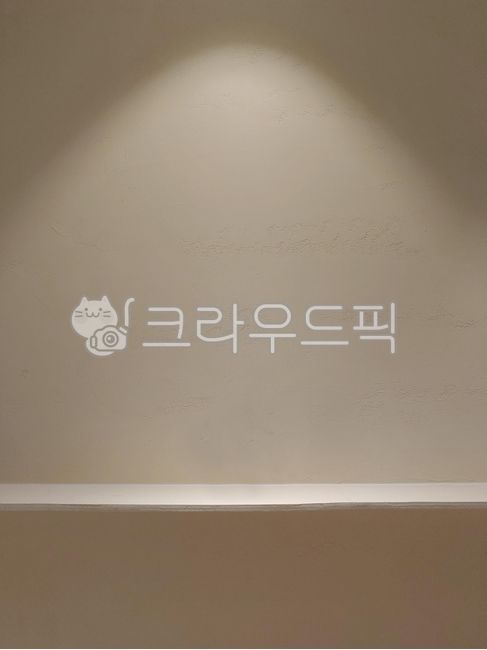 스포트라이트,조명,라이트,각광,전시,전시회,배경,바탕,백그라운드,background,빈공간,empty,blank,bright,light,space,스페이스,빈,텅빈,비어있는,라이팅,하이라이트,공간,카피스페이스,스튜디오,공간감,디자인소스,디자인,소스,등,벽등,핀라이트,집중,무대,무대조명,방송용조명,인테리어,불빛,빛,spotlight