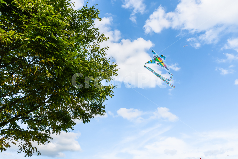 kite,가오리연,자유,freedom,첨성대공원