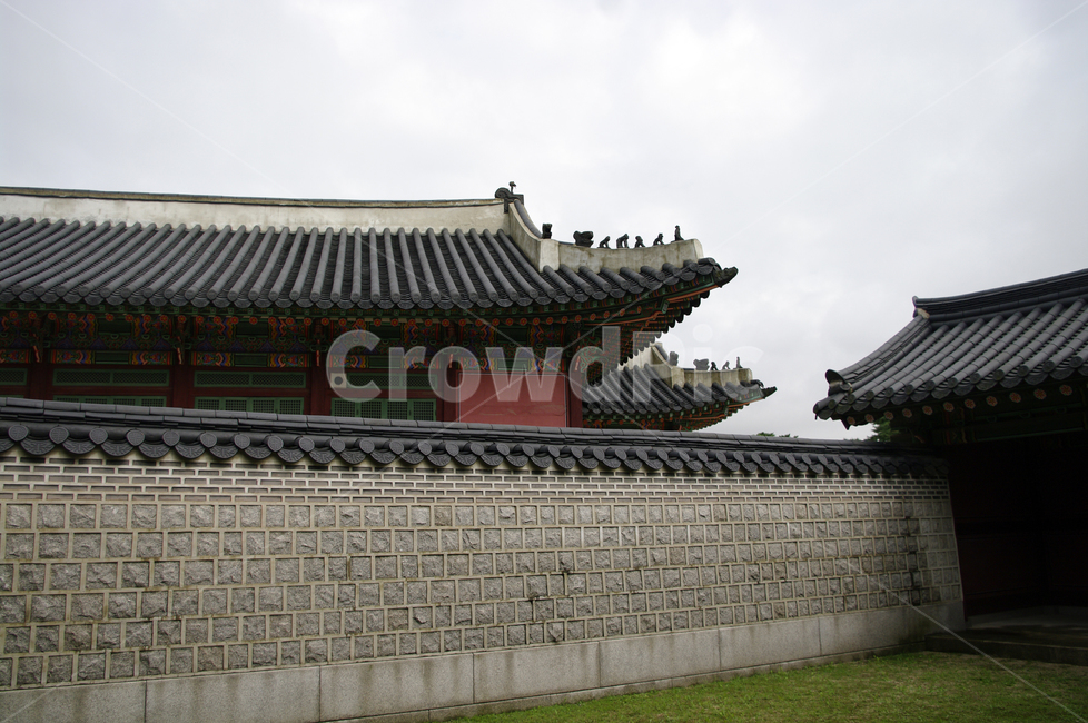 창덕궁,고궁,한옥,전통가옥,기와지붕,건축,traditional,담장,한국전통,한국문화,korean traditional,korean culture,랜드마크,landmark,tourist attraction,한국랜드마크,한국관광지,한국명소,korea landmark,korea tourist attraction,건축물,건물외관,exterior,building,structure,architecture,construction