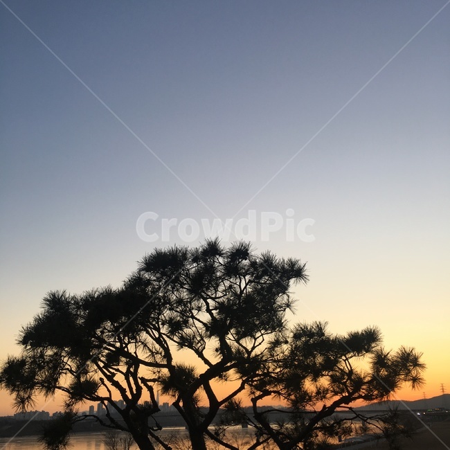 자연,nature,한강,hanriver,옥외
