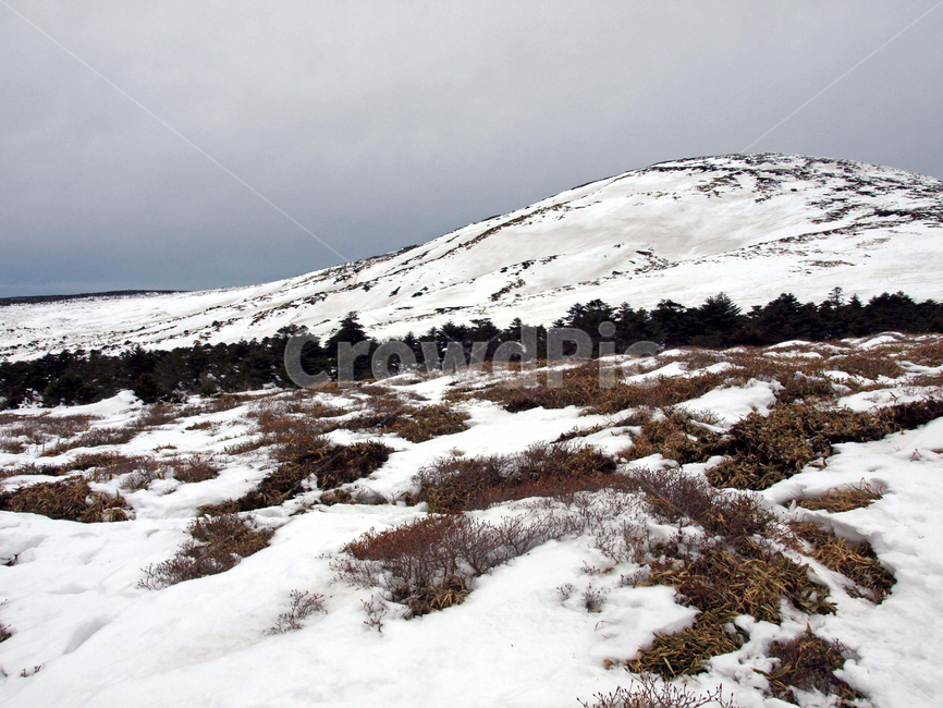 어리목,제주도,한라산,겨울산,겨울,설경,설화,눈,겨울,계절,winter,season,자연,풍경,nature,landscape,plateau,고원,outdoors,옥외,land,땅,mountain,산