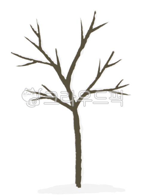 나뭇가지,겨울,눈,나무,겨울나무,winter,wintertree,tree,snow
