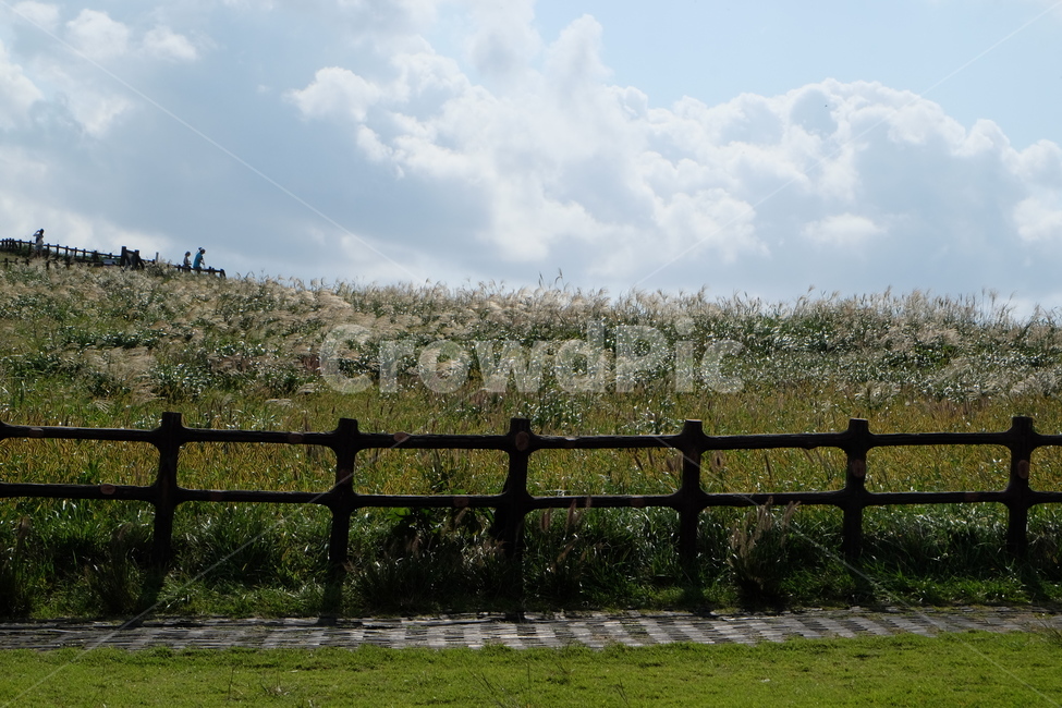 우도,우도봉,제주도,제주,바다,jeju,udoisland,udo,갈대,하늘,자연,풍경,nature,landscape,한국자연풍경,한국자연경관,korea nature landscape,제주도,jeju,jeju island,railing,난간
