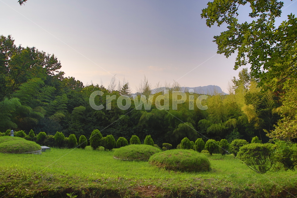하늘,자연,나무,풍경,들판,자연,풍경,nature,landscape,outdoors,옥외