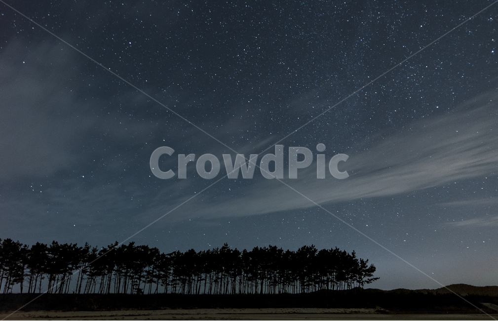 별,별사진,풍경,밤하늘,감성,감성사진,자연,풍경,nature,landscape,야경,밤,nightscape,night,실루엣,그림자,silhouette,shadow,outdoors,옥외